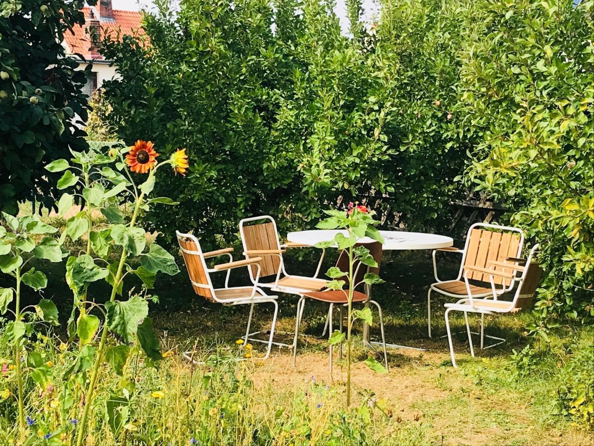 Casa Marcu Wohnung 1 Og Landkirchen Exteriér fotografie